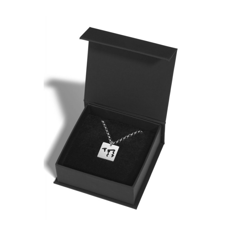 עדי סידלר שרשרת נירוסטה תליון חי עם... | תליון יהודי